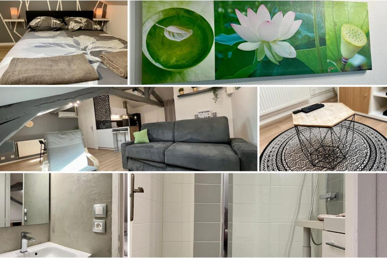Très bel appartement climatisé situé à coté de la gare et centre ville Périgueux Esterno foto